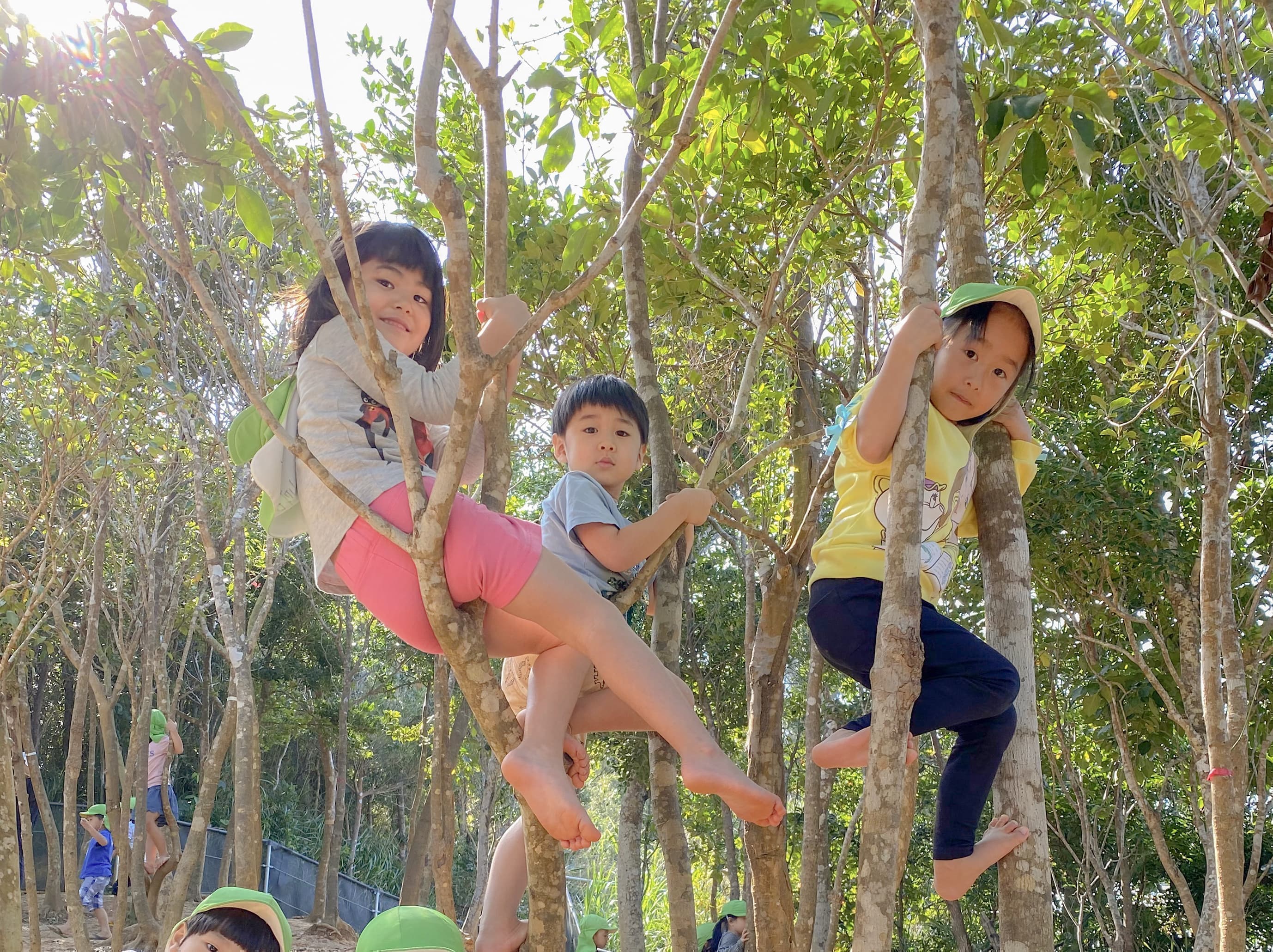 木登りをしている子ども達
